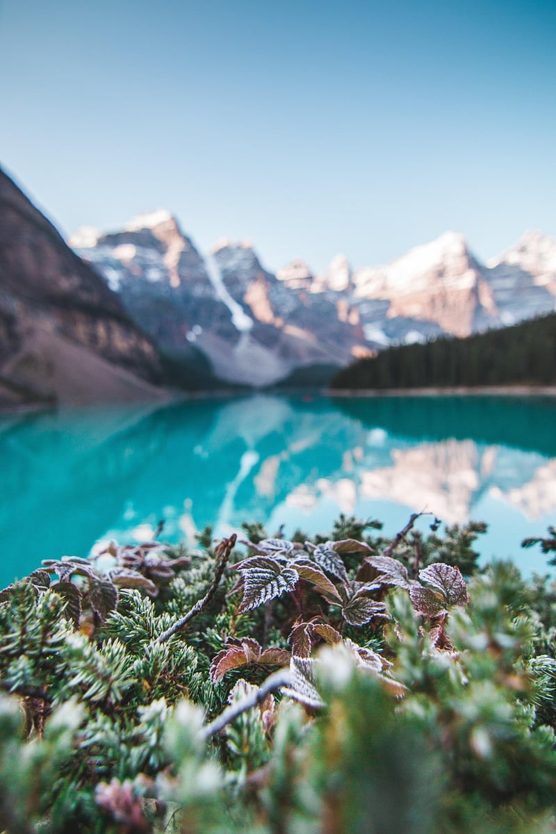 Banff National Park